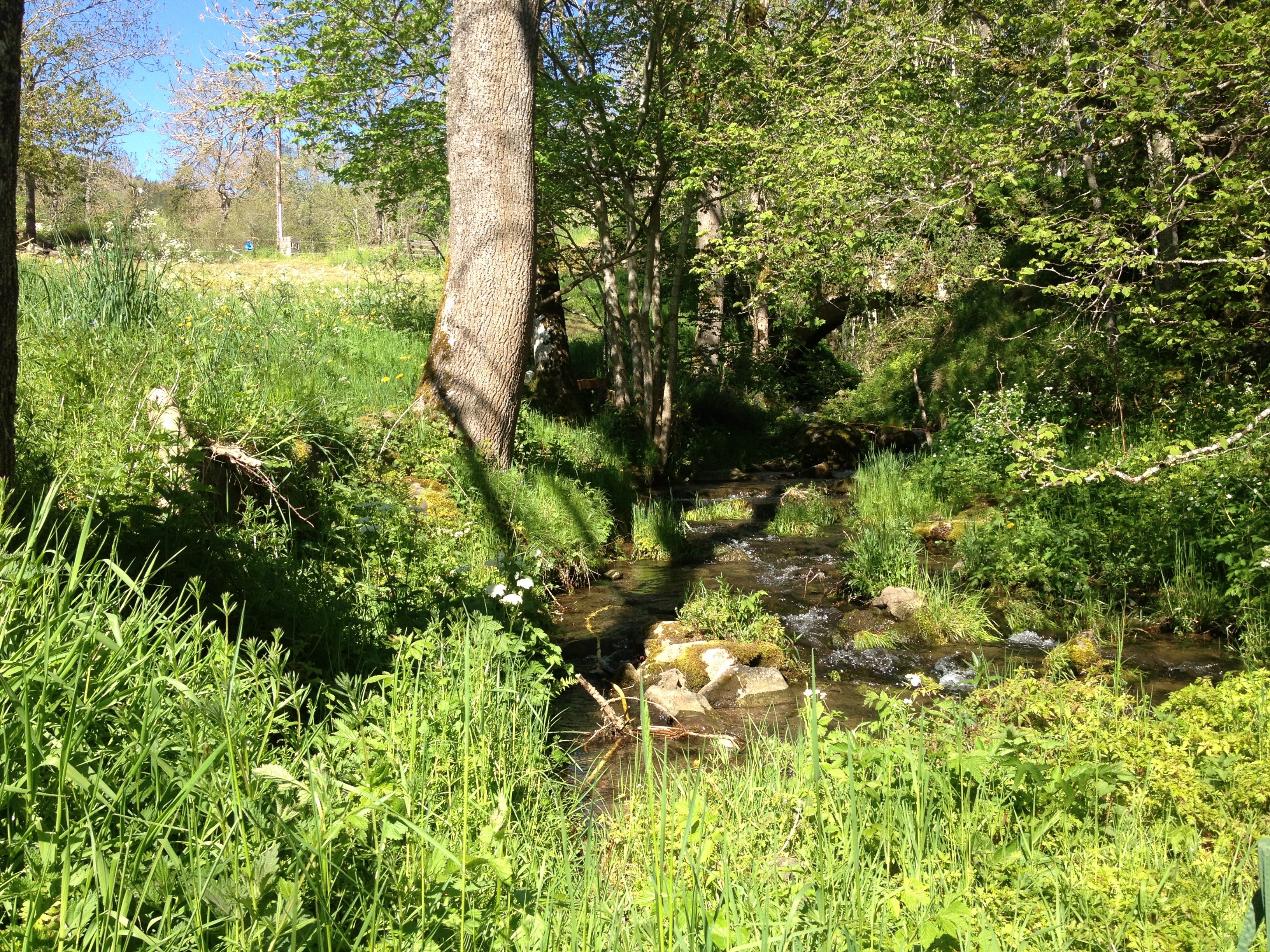Le paysage naturel