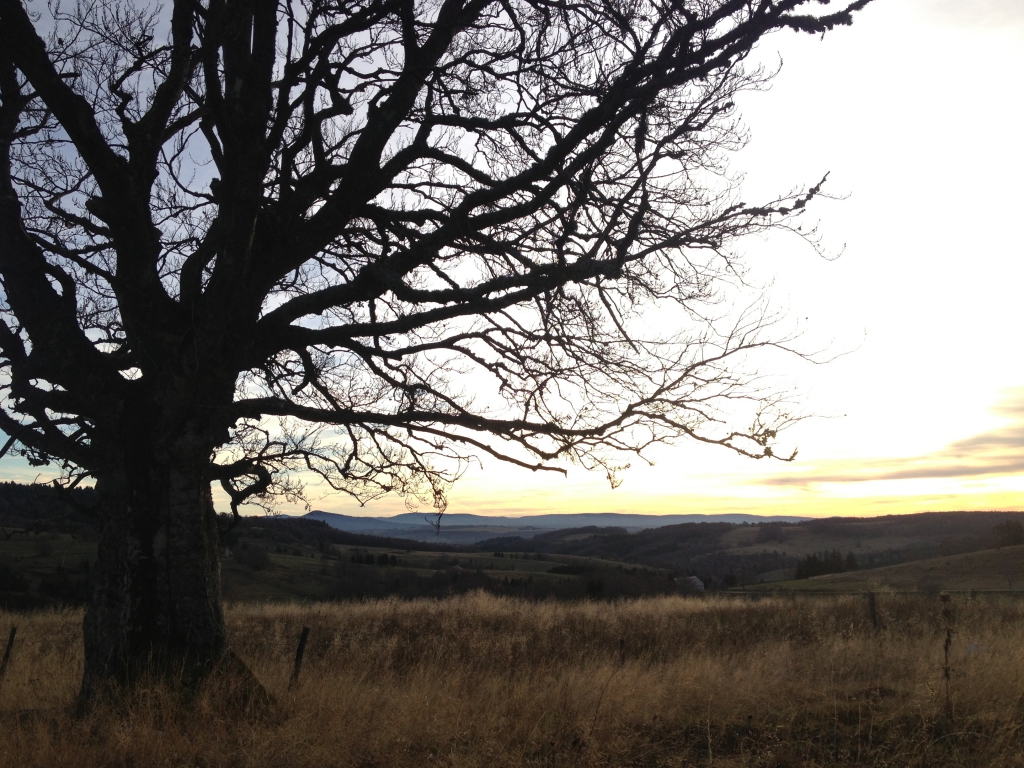 Paysage d&#039;automne