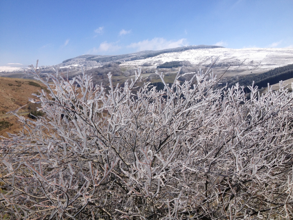 Paysage d&#039;hiver